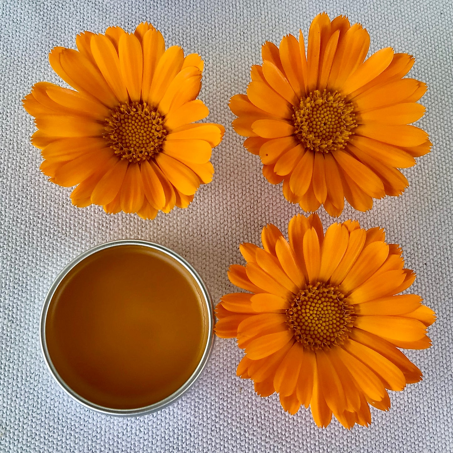 Calendula Salve