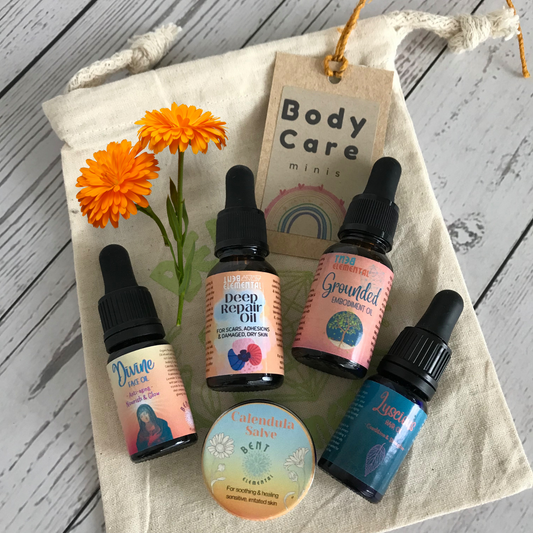 Body Care Minis Pack